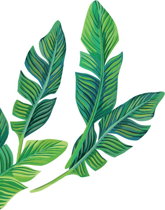 Leaf Middle Left
